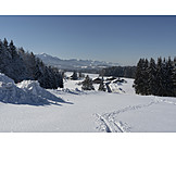   Winter Landscape, Chiemgau Mountains