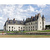   Amboise castle