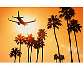   Sunset, Airplane, Palm