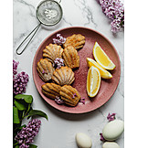   Lavendelblüte, Französische Küche, Madeleine