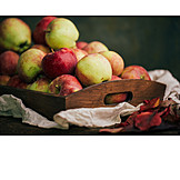   Apple, Apple Harvest