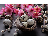   Spring, Easter Decoration, Bird's Nest