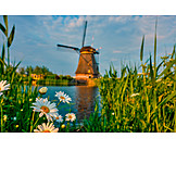   Kanal, Windmühle, Blumenblüte