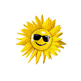   Sonnenblume, Sonnenschein, Smiley