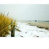   Winter, Snow, Baltic Sea