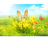   Easter, Rabbit Ears, Springtime