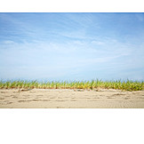   Beach, Coast, Marram Grass