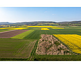   Arable, Agriculture, Fields