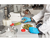  Laboratory, Cannabis, Medical Cannabis