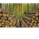   Holzstapel, Baumstamm, Forstwirtschaft