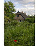   House, Cottage, Rural Scene