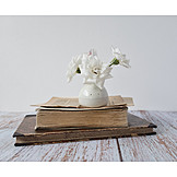   Book, Flower Vase, Still Life