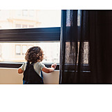   Toddler, Home, Window, Curious, Childhood