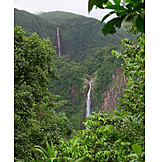   Wasserfall, Regenwald, Guadeloupe
