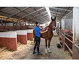  Horse, Horsewoman, Grooming, Ranch