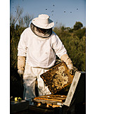   Beehive, Beekeeper, Honeycomb, Honey Production