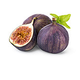   Fig