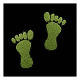   Fußabdruck, Lebensstil, ökologischer Fußabdruck