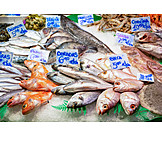   Fish, Market Stall
