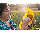  Senior, Smiling, Pick, Sunflower Field