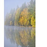   Lake, Forest, Autumn, Haze