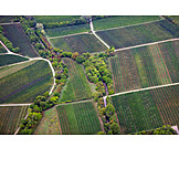   Agriculture, Vineyards, Fields