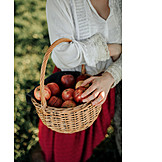   Apple, Basket, Apple Harvest