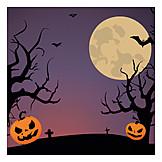   Spooky, Moonlight, Halloween