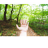   Child, Nature, Trees, Child's Hand