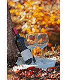   Nature, Autumn, Red Wine, Date