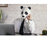   Businessman, Office, Anonymous, Panda, Incognito, Homeoffice