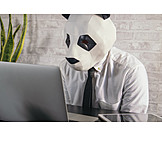   Businessman, Office, Pensive, Panda, Incognito