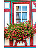   Window, Timbered, Flower Arrangement
