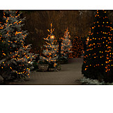   Defocused, Lights, Christmas Tree
