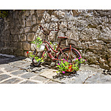   Bicycle, Flower Pot