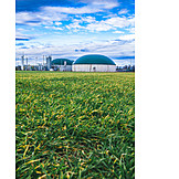   Agriculture, Farm, Biogas Plant
