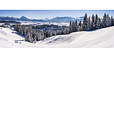  Winter, Allgau, Snow