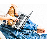   Home, Dog, Laptop, Online