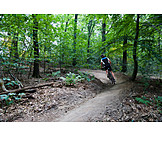  Forest, Cyclists, Mountain Biking
