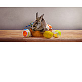   Ostern, Hase, Osterkorb