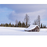   Winter, Snow, Wooden Cabin