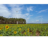   Windenergie, Alternative Energie, Windkraft