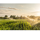   Agriculture, Sprinklers, Irrigation Equipment