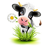   Cow, Cartoon