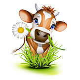   Cow, Cartoon