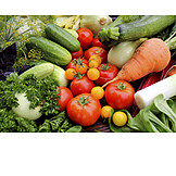   Gemüse, Kräuter, Erntefrisch