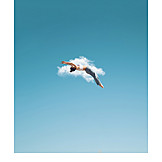   Cloudscape, Flying, Somersault, Acrobat