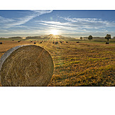   Agriculture, Summer, Straw Bales, Straw Harvesting