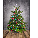   Christmas, Christmas Tree, Christmas