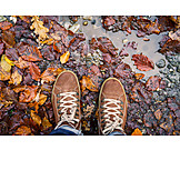   Autumn, Walk, Shoe